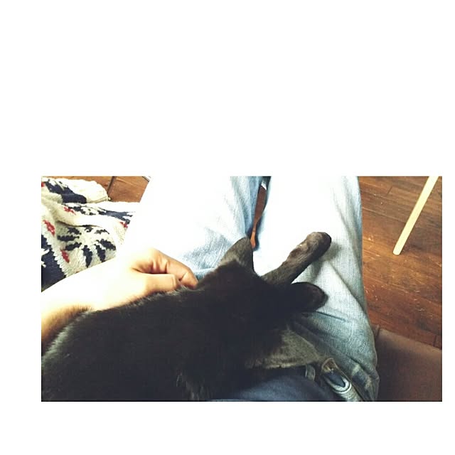 chamiさんの実例写真