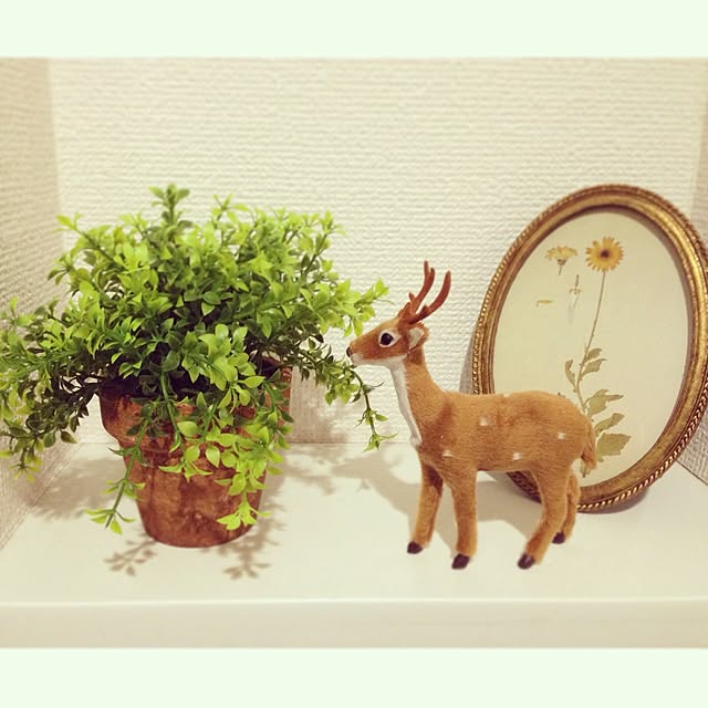 saoさんの実例写真