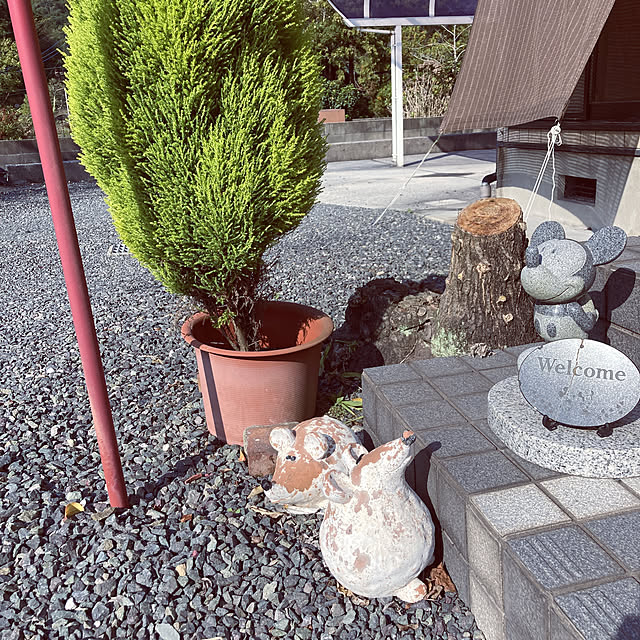 mizuyoさんの実例写真