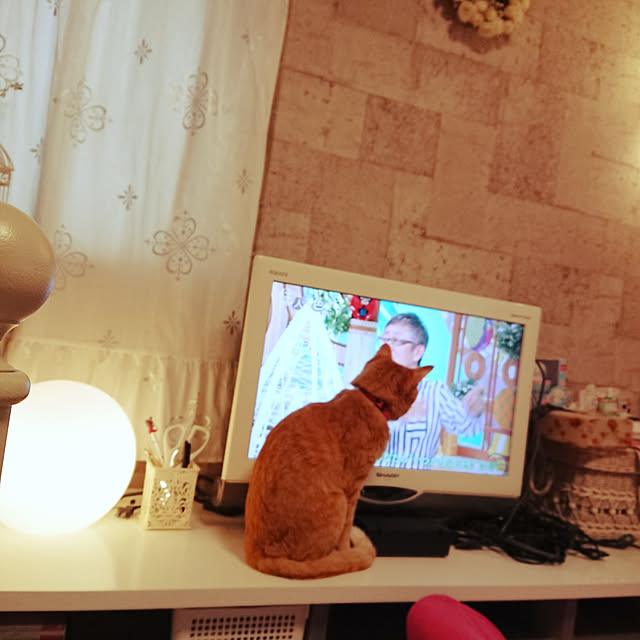 asuminさんの実例写真