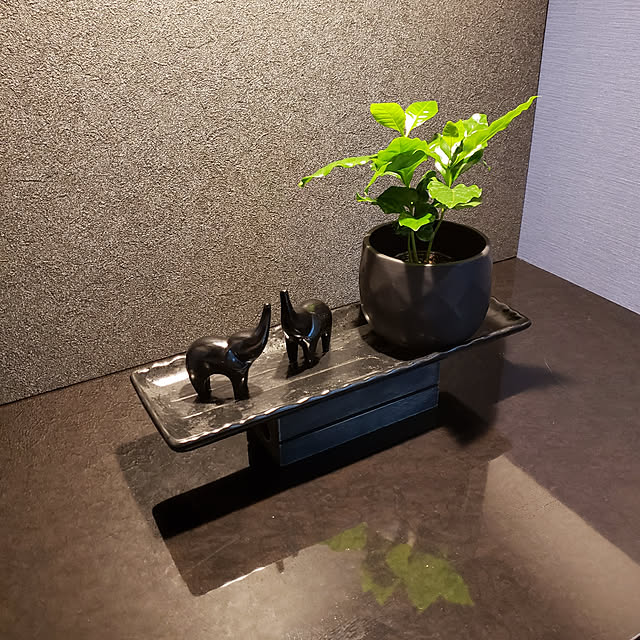 karikoroさんの実例写真