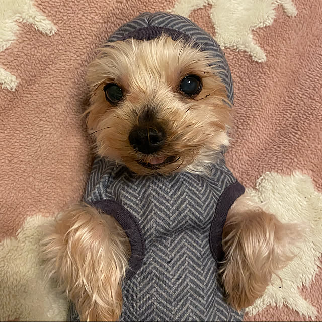 ohanaさんの実例写真