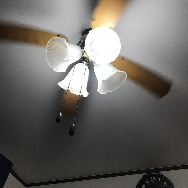 kosugiさんの実例写真