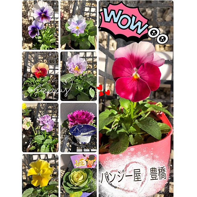 hinamamaさんの実例写真