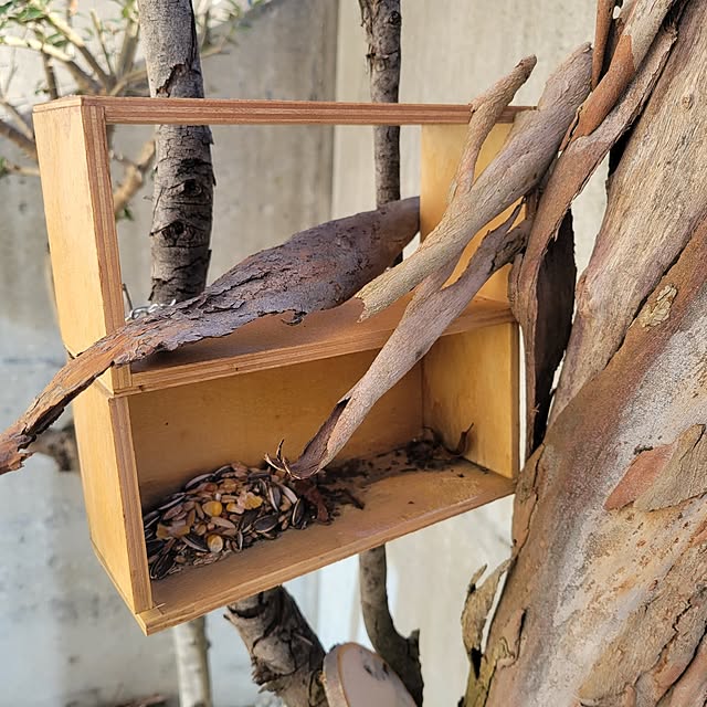 hossikouchouさんの部屋