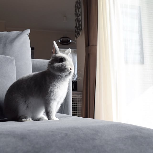 kuruさんの実例写真