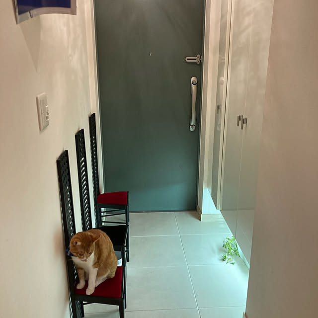 yutakaさんの実例写真