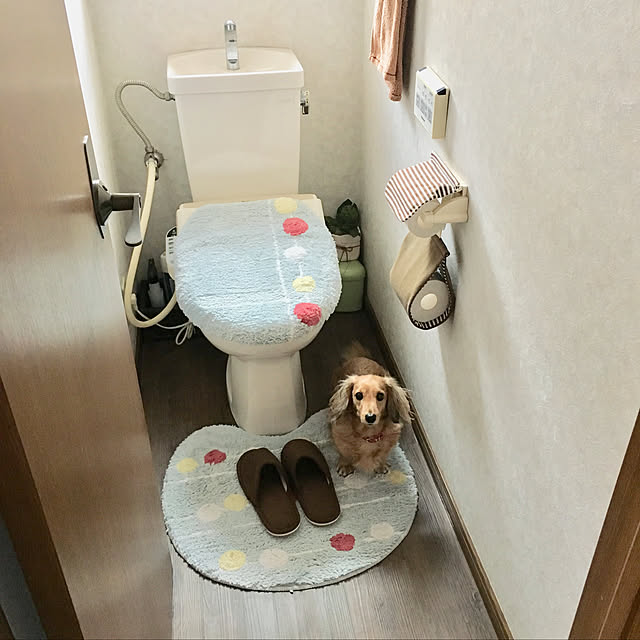 yu-ka-naさんの実例写真