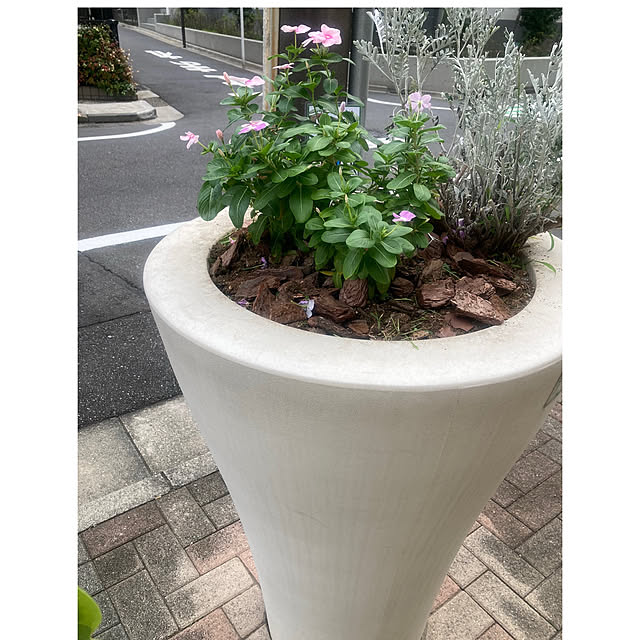marukoさんの部屋
