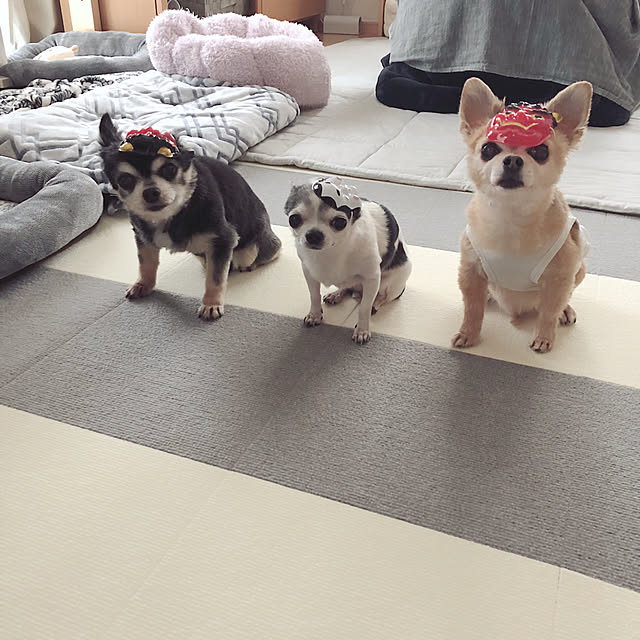 Emiさんの実例写真