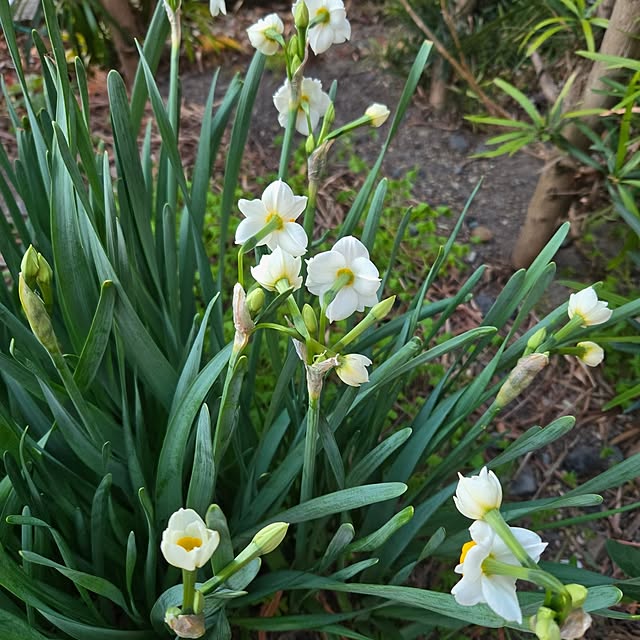 fuchan0930さんの部屋