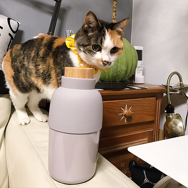 nyanko-beamさんの実例写真