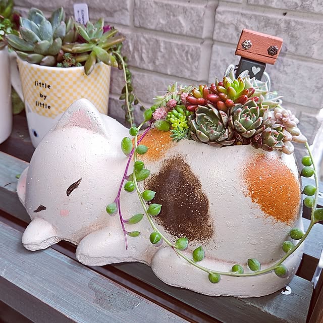 mocomocoさんの実例写真