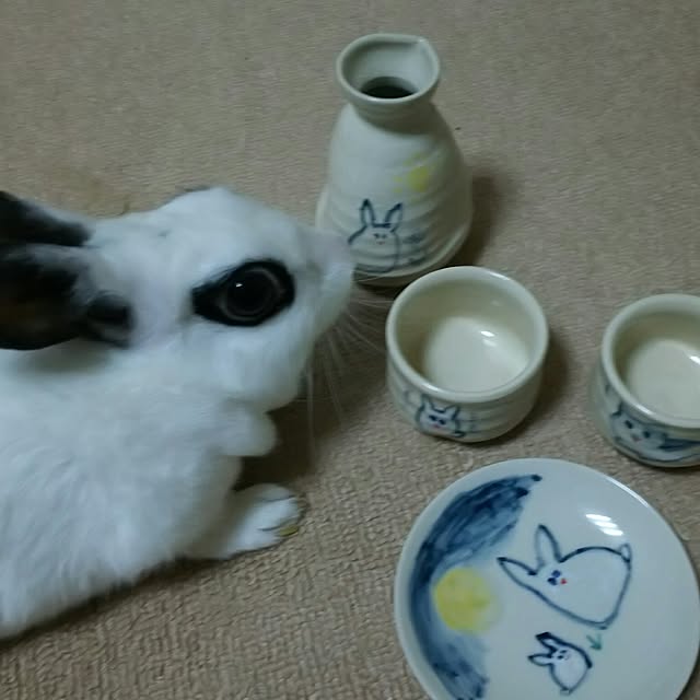 acidjuseさんの実例写真
