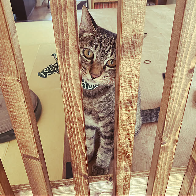 machaさんの実例写真