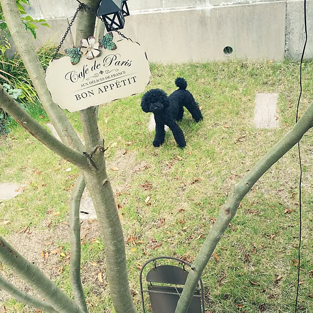 tomoppさんの実例写真