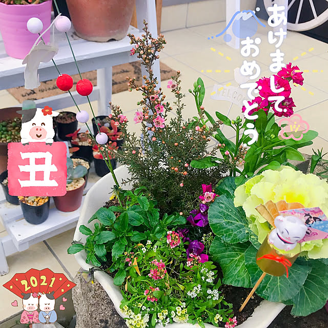 rizumu4649さんの実例写真