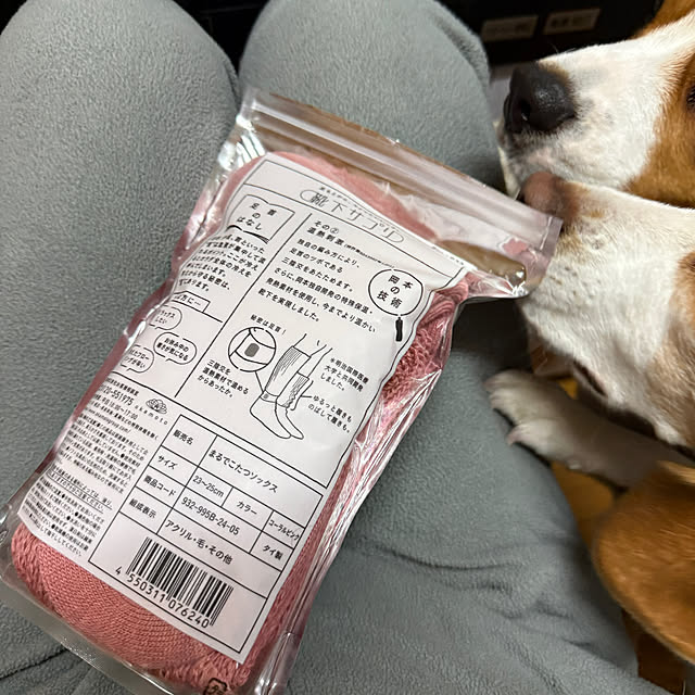 prelumoさんの部屋