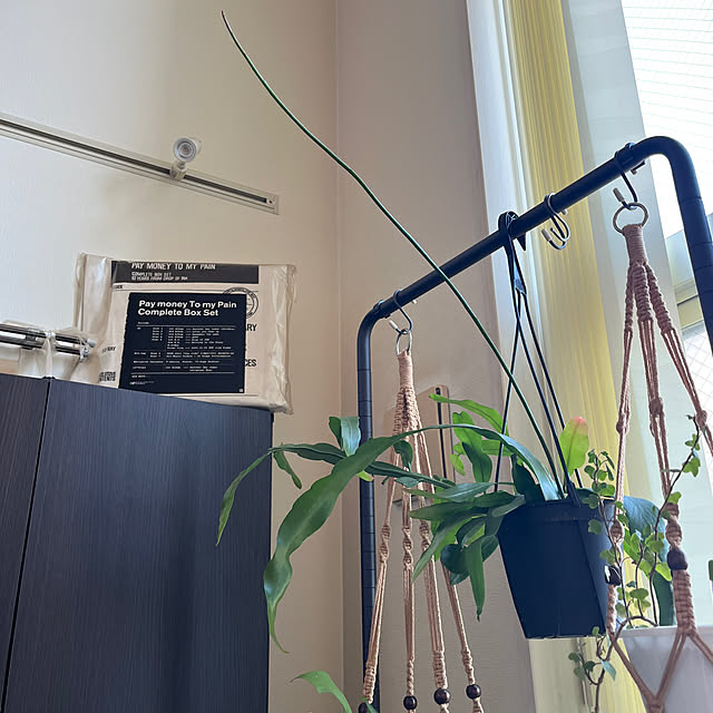 khaiさんの部屋