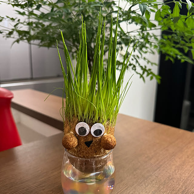 実例写真