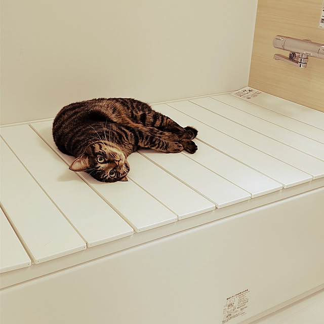 hihaさんの実例写真