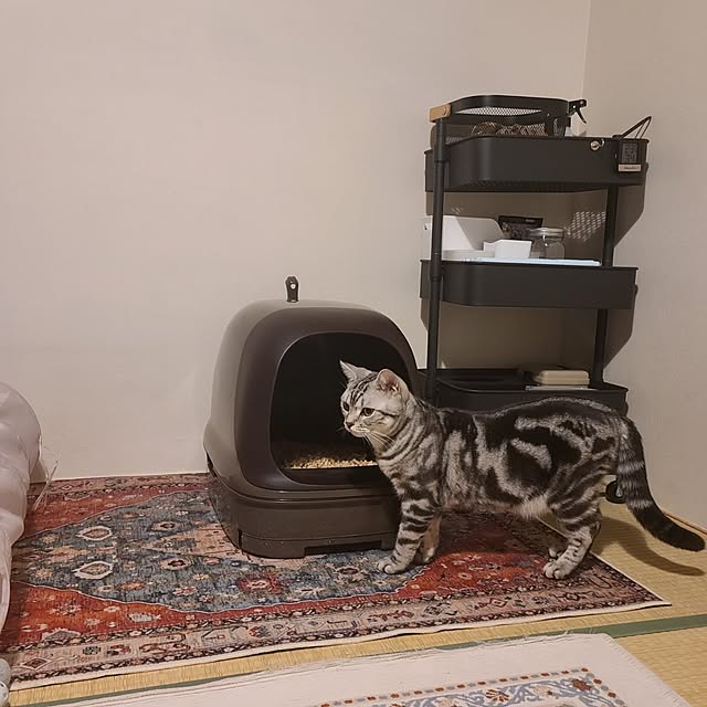 lovepeaceさんの実例写真