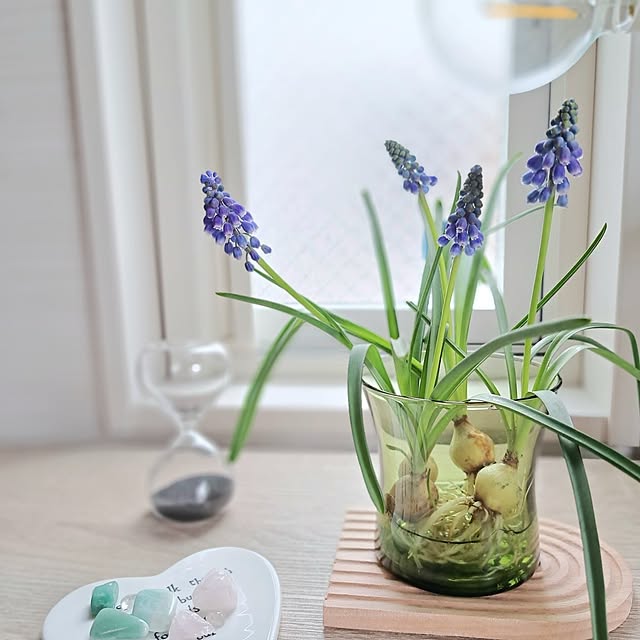 Jijiさんの部屋