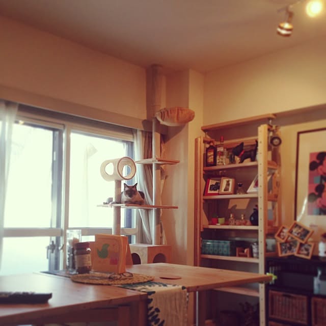 Takachikiさんの実例写真