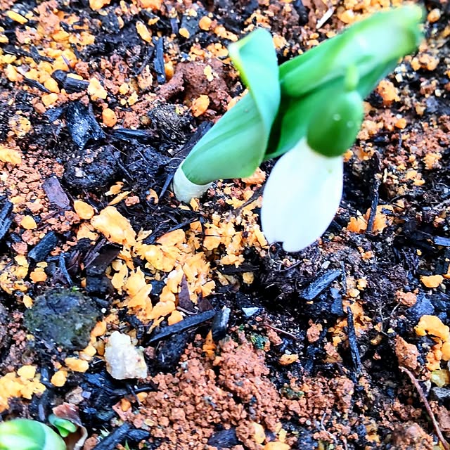 NSDさんの実例写真