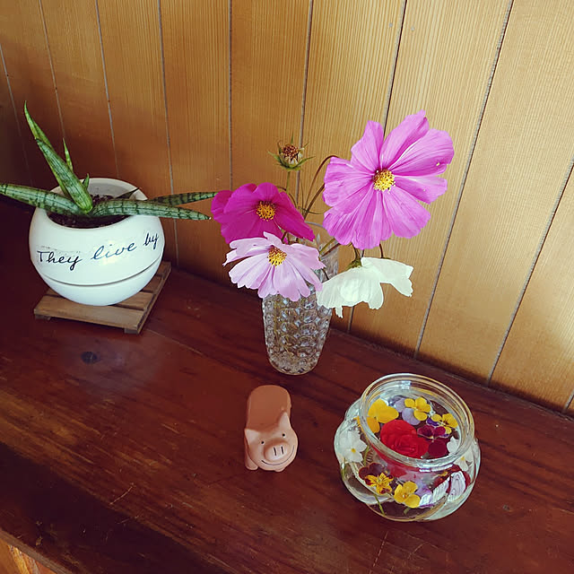 fukuさんの実例写真