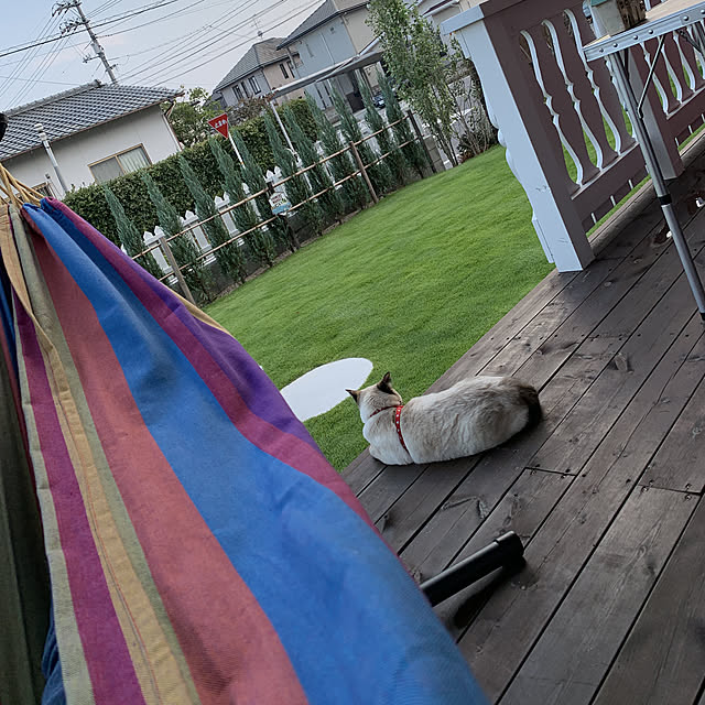 miyaさんの実例写真