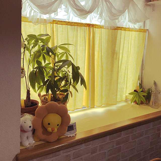 mairyuyuiさんの実例写真