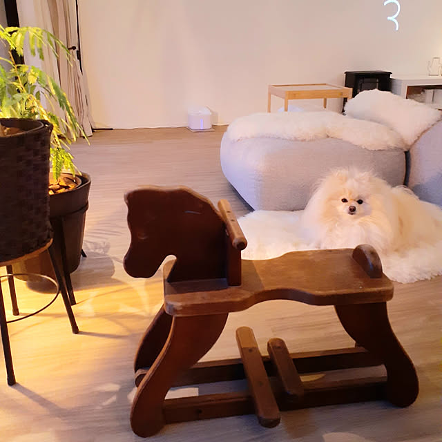 noahさんの実例写真