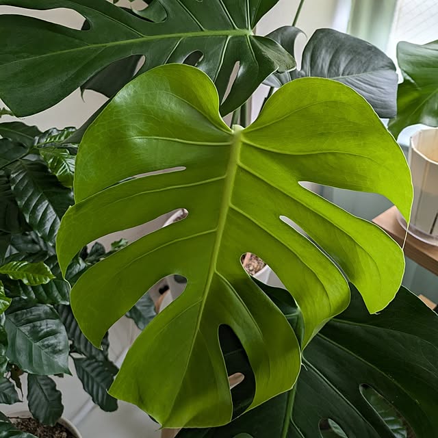 kolo92さんの部屋