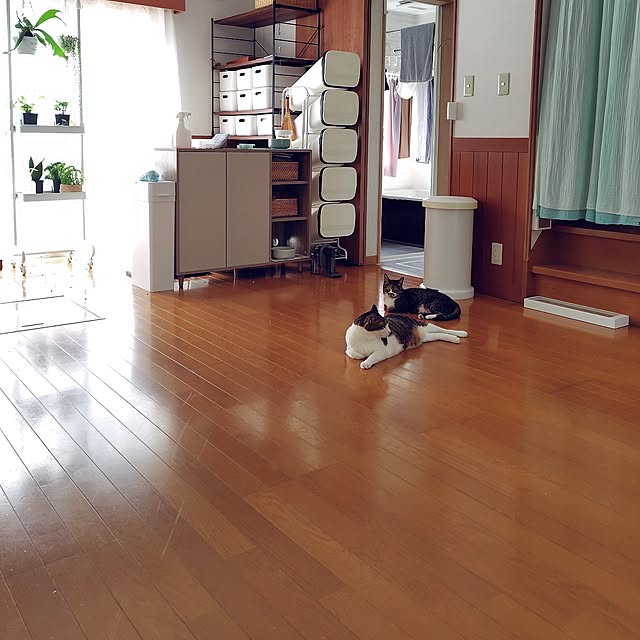 nachiさんの実例写真