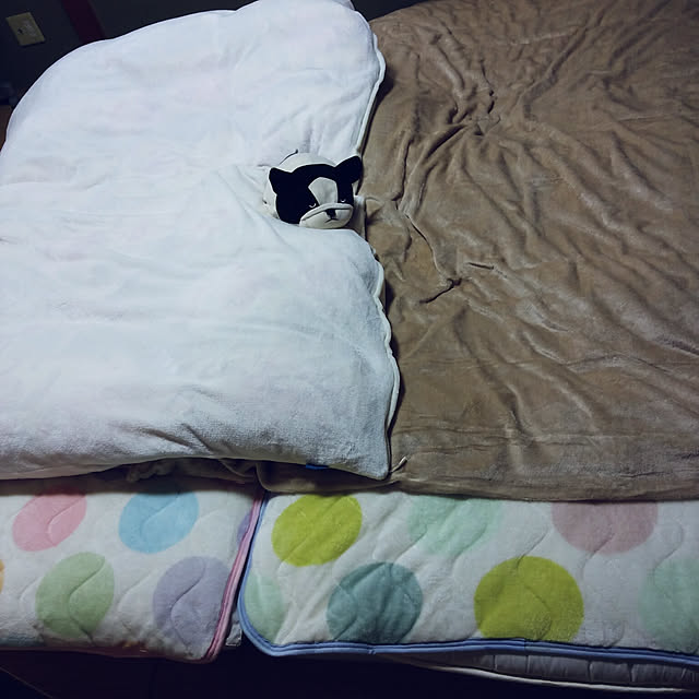 cchanさんの実例写真