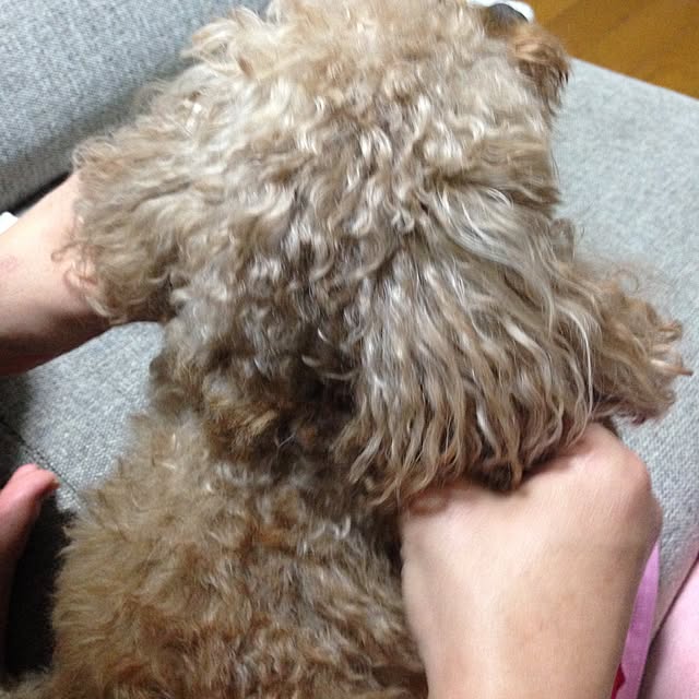 sakuraさんの実例写真