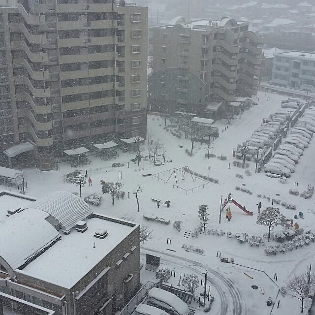 実例写真