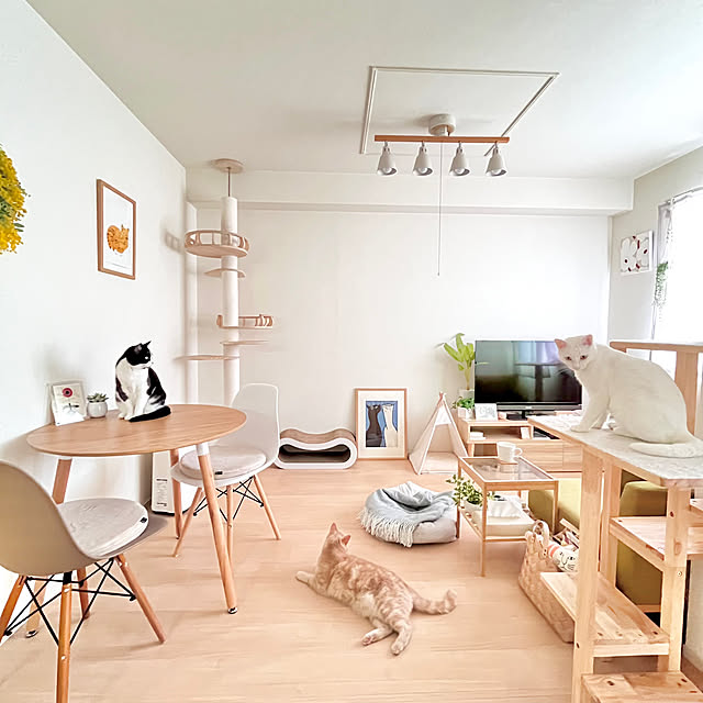 kiyomiさんの部屋