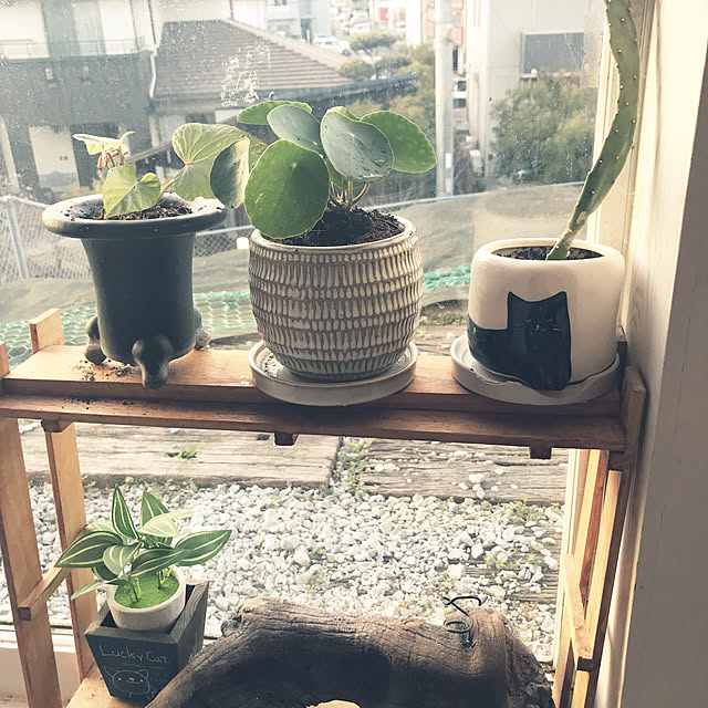 kou-kitiさんの実例写真