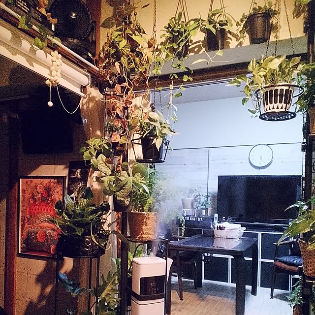 runaさんの実例写真