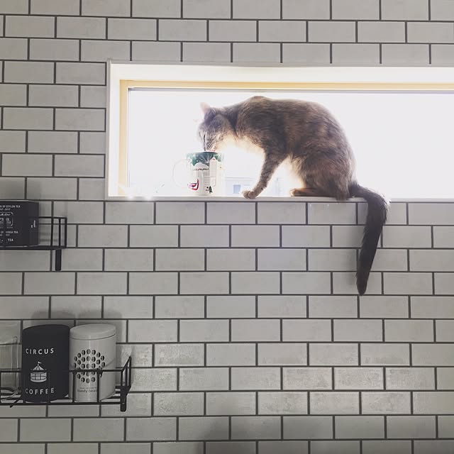 CSNK421さんの実例写真