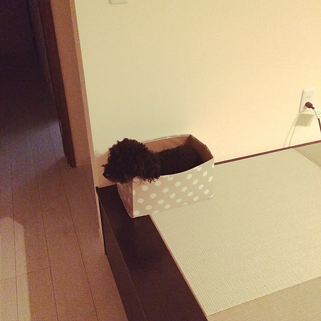 Mamiyさんの実例写真