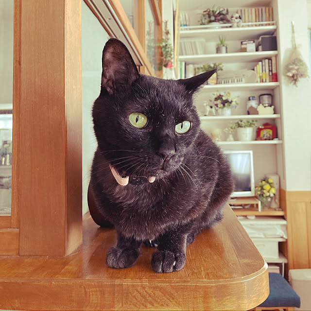 chakuron.iさんの実例写真