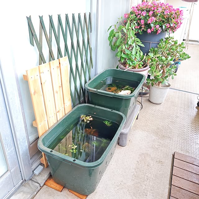 mariaさんの実例写真