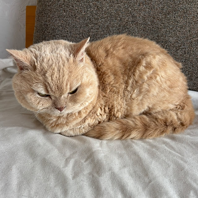 naokoさんの部屋