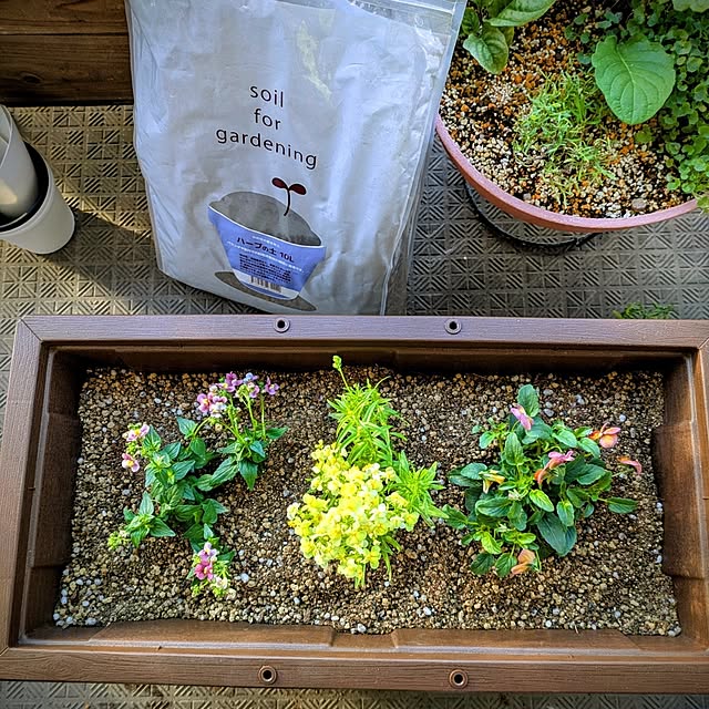 mi-saさんの部屋