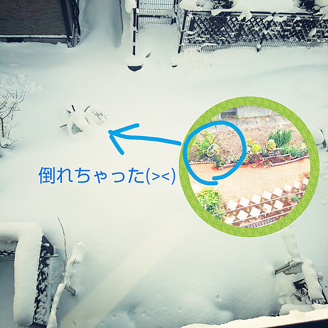 posauruさんの実例写真