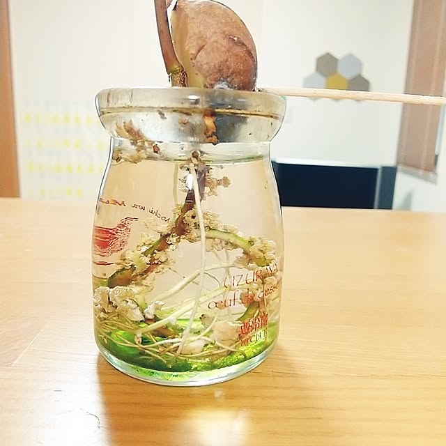 iku-yoneさんの部屋