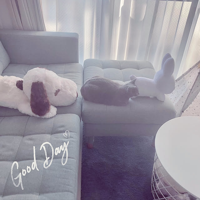 snoopyさんの実例写真